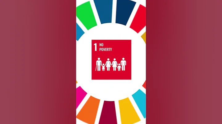 What are the UN Sustainable Development Goals?