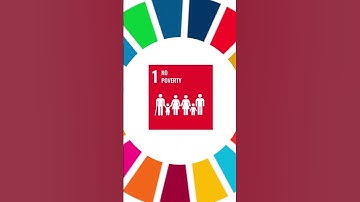 What are the UN Sustainable Development Goals?