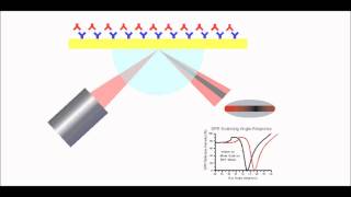 Surface Plasmon Resonance Explained