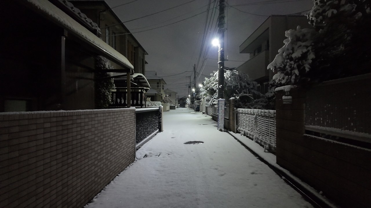 朝5時、新雪に包まれた東京郊外を歩く - Snowy Tokyo Suburbs: 5AM Untouched Snow【4K Japan Walk】