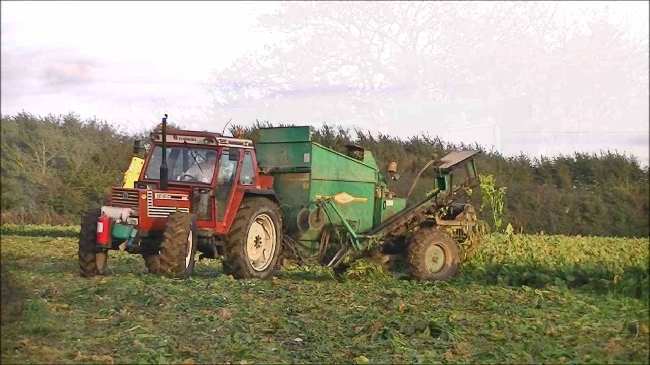 Fiat 110-90 pulling beet