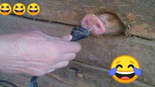 chinese Fails and funny videos 😃😄😄😄Never seen before😄Best vines 2021|