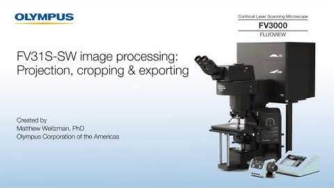 FV31S-SW Image Processing: Projection, Cropping & Exporting