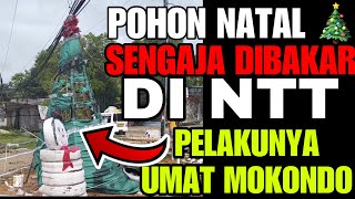 Download Lagu Bi4dab❗️ Pohon Natal 🎄 di NTT Dibakar oleh OTK MP3