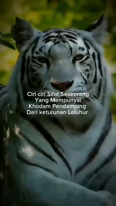 Ciri-ciri sifat seseorang yang mempunyai khodam pendamping dari keturunan leluhur #khodampendamping
