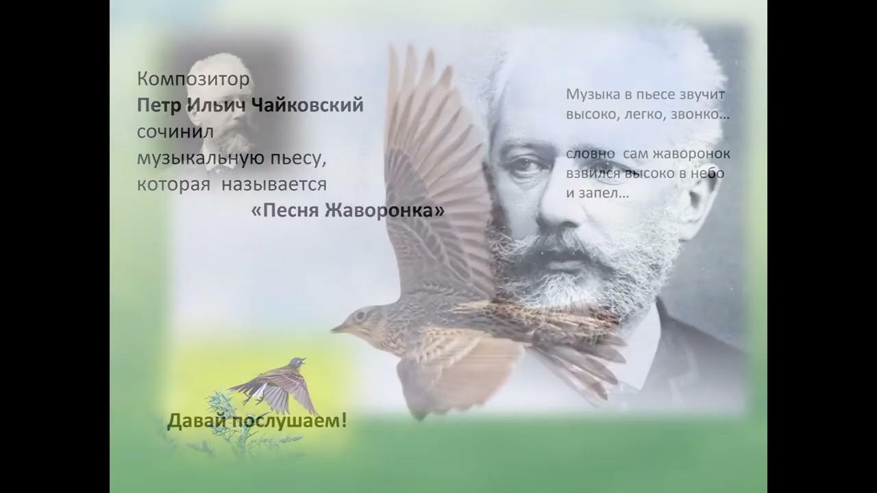 Песня жаворонка Чайковский. П. И. Чайковский «песня жаворонка». Чайковский детский альбом песня жаворонка. Музыка Чайковского песня жаворонка. Чайковский песня жаворонка из детского альбома