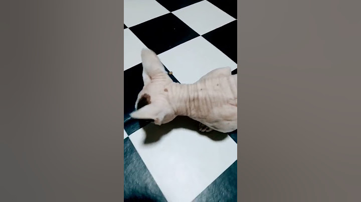 когда ты старше своего друга, а твой друг выше тебя 😆