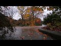 Rainy day in Autumn   3 Hours of Rain with Nature Sounds, Total Relax