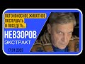 🧨 Разговор журналистки с убийцей, Песков, отсрочки от мобилизации для ученых и есть ли россии люди?