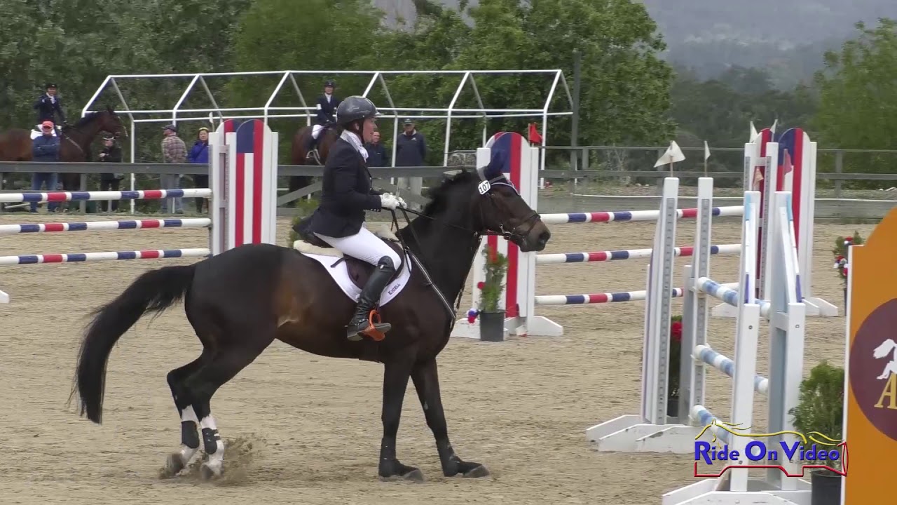 horseshoe bend 107S Auburn Excell Brady on BSP Tuxedo intermediate Show Jumping Woodside May 2019
