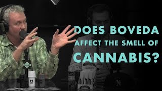 Does Boveda Affect the Smell of Cannabis?