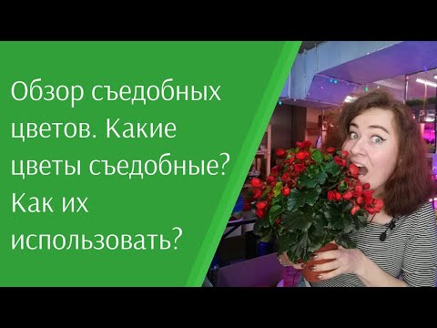 Видео: Съедобны ли цветы глицинии?