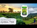 Manufacturing process of Green tea
