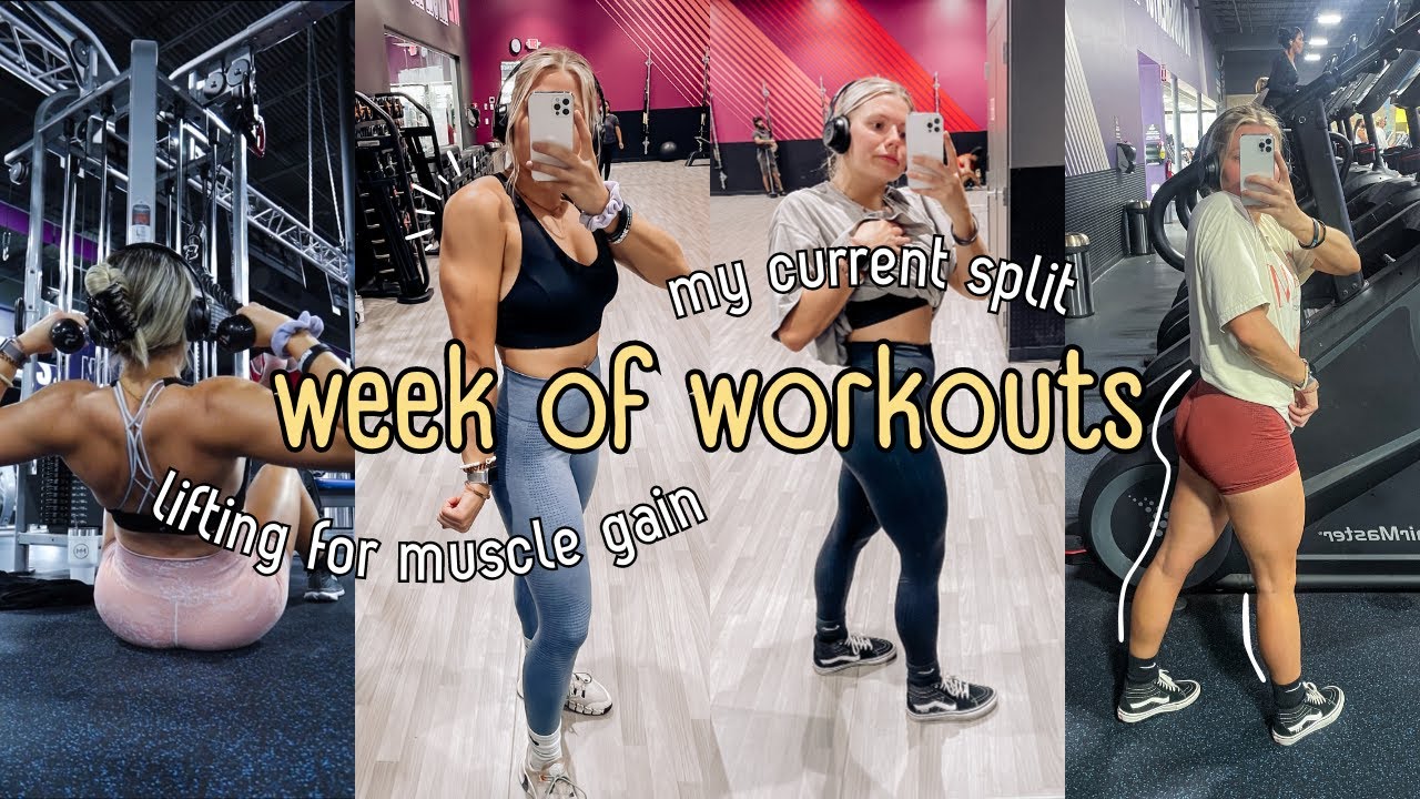 FULL WEEK OF WORKOUTS || my current 5-day split, gaining lean muscle ...