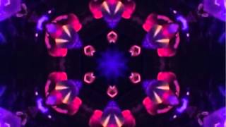 Video thumbnail of "Ween - Transdermal Celebration"