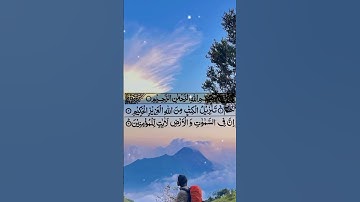 Surah Jasiah || Surah Al-Jathiyah  With Arabic Text |سورة الجاثية|