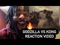 Godzilla vs Kong Trailer Reaction