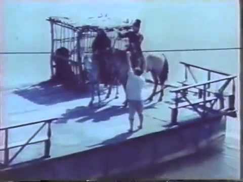 კირილე :)