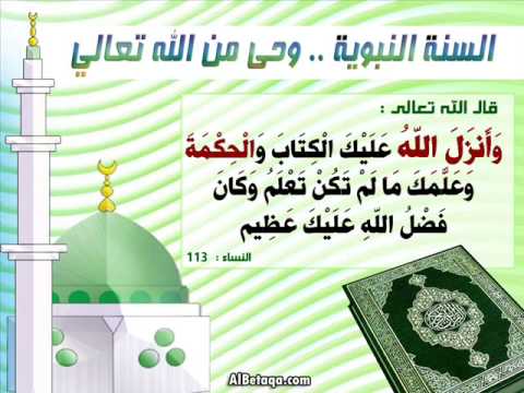 فى ظلال الهدى النبوى