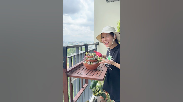 Lần đầu mua sen đá online #senda #jan2decor #kieumedecor #trangtribancong
