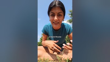 Balance Your Root Chakra With These 3 Mudras ✨️ Root Chakra is called Muladhara in Sanskrit