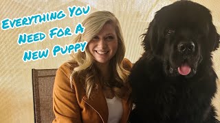 Complete Guide To Everything You Need For Bringing Home A Newfoundland Puppy | Newf Puppy Explained