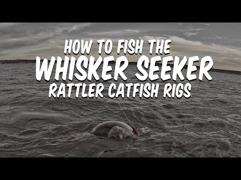 How To Fish Whisker Seeker Rattler Catfish Rigs [Plus Catfish and Sound]