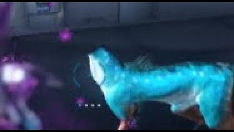 warframe is a bug free game 2:  veilbreaker boogaloo