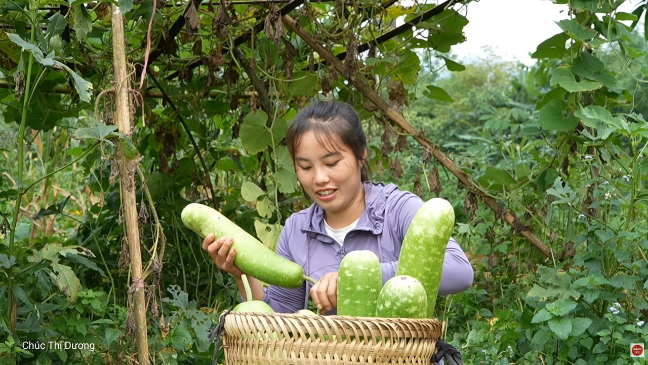 Giant winter melon harvesting process – Cooking delicious duck meat for my kids Nhi & Khoi