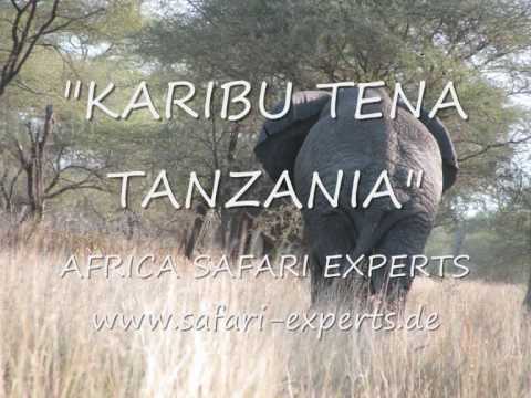 Video: 10 Erstaunliche Bilder Einer Safari In Tansania, Afrika