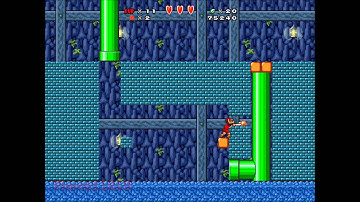 Link got a Bug! - Super Mario Bros X