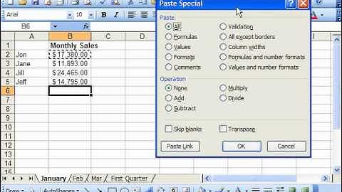 Excel 2003 Tutorial Using Paste Special Microsoft Training Lesson 16.1