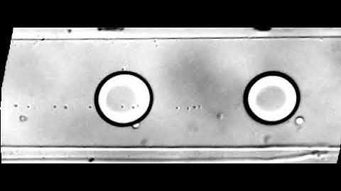 jetting to dripping regime transition of droplet generation