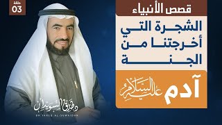 قصص الانبياء : ح 3 | خلق حواء - ابليس وآدم  وشجرة الخلد |