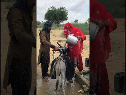 كلاهما يسكبان الماء في المقلاة مع ا