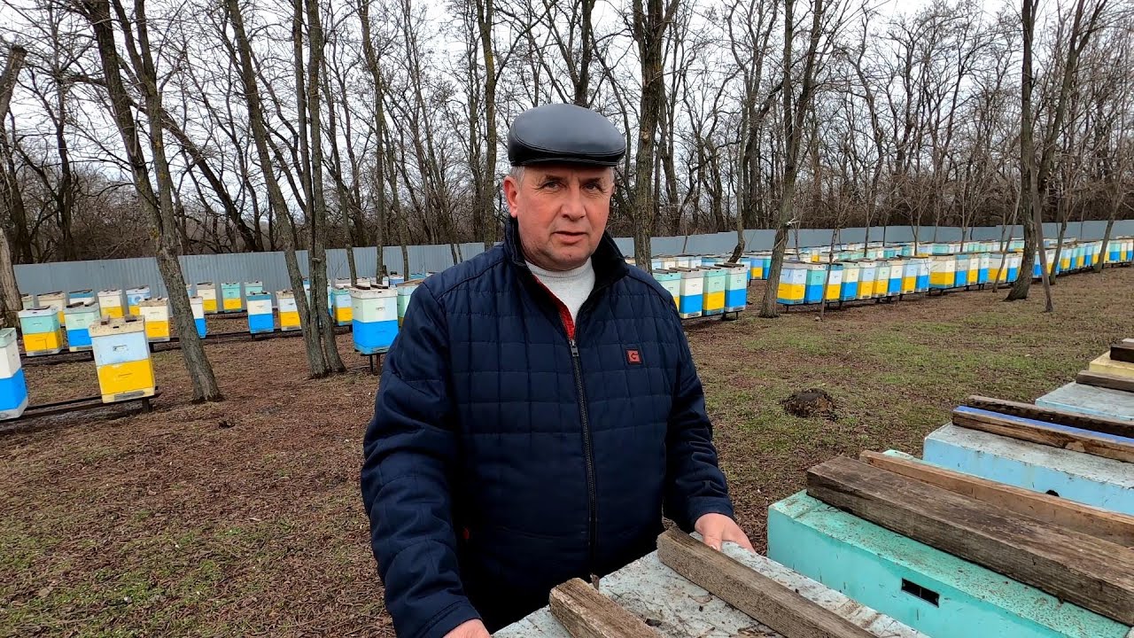 Пасека Скупновых Новое Видео 2022 Года Пасека Скупновых Новое Видео 2022 Года