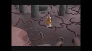 Runescape body rune guide