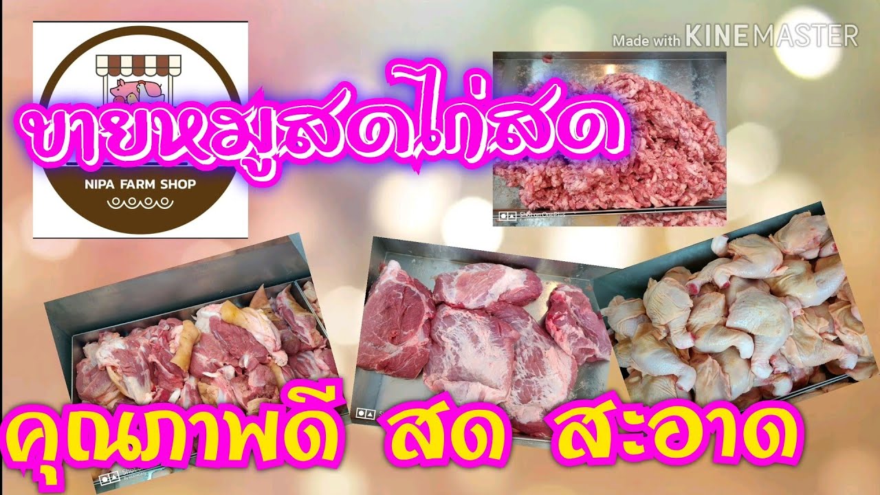 ขายหมูสด ไก่สด  Nipafarm shop อ.ศรีมาหาโพธิ. | ข้อมูลทั้งหมดที่เกี่ยวข้องกับร้าน ขาย อาหาร สดที่ถูกต้องที่สุด