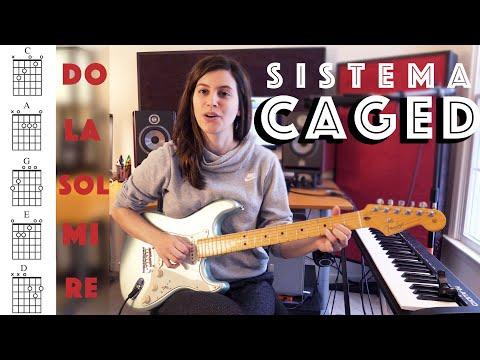 Introducción al SISTEMA CAGED