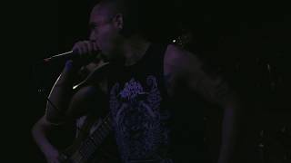 REJUVENATION | Vortex Distortion Device OFFICIAL LIVE VIDEO