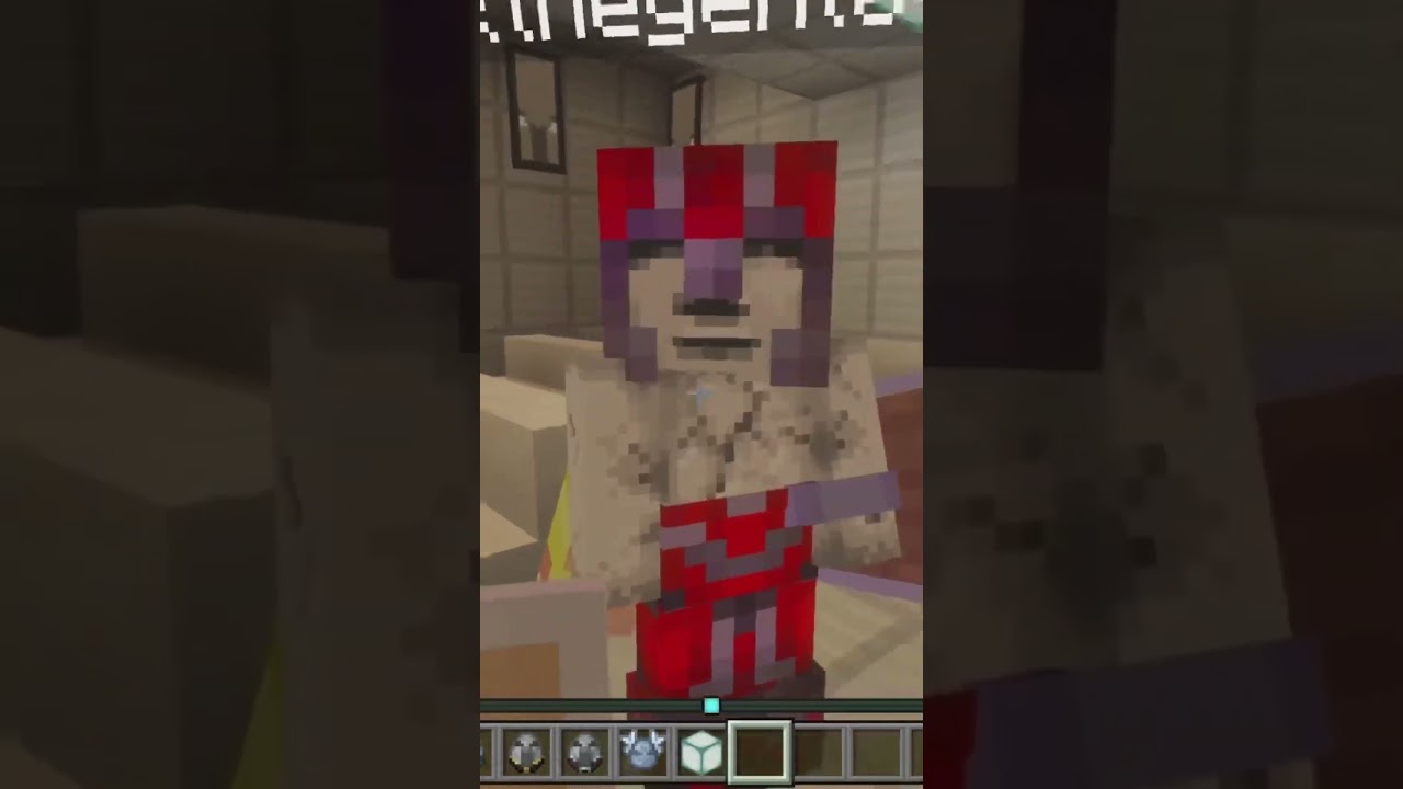 Second update of the allium village 