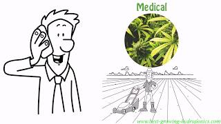 Medical Marijuana Jobs | Learn How To Grow Weed & Get A Degree!