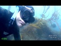 Spearfishing Malibu CA 9 /1 / 18