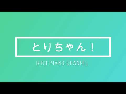 【2022】 新年のごあいさつ！【とりちゃん】