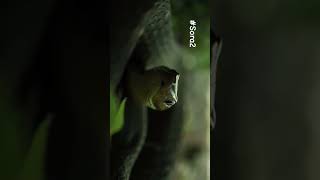 #sora2#aivideo #aishorts #aianimation#ai #aivideo #aiart #cinematic #realistic #vfx #cgi