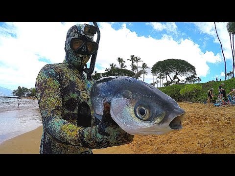 Spearfishing Hawaiian Style - Big Catch!! 