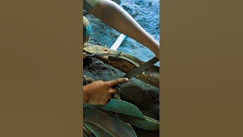 Sharpen Scissors Like a Pro in 30 Seconds | Genius DIY Hack for Razor Sharp Blades!