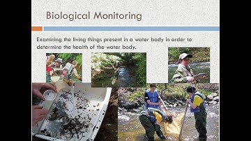 Water Quality and Biological Monitoring using Macroinvertebrates
