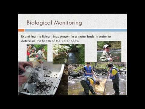 Water Quality and Biological Monitoring using Macroinvertebrates