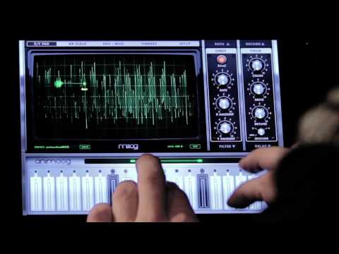 A Tour of Animoog